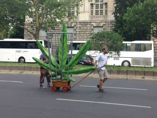 Gebt das Hanf frei! Hanfparade 2013